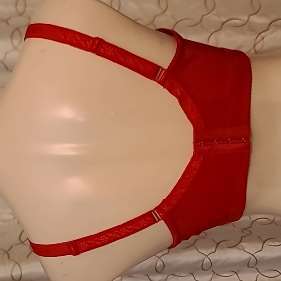 Three Love Bird Bras. 36DD. Muse full cup lace bra - Picture 2 of 6